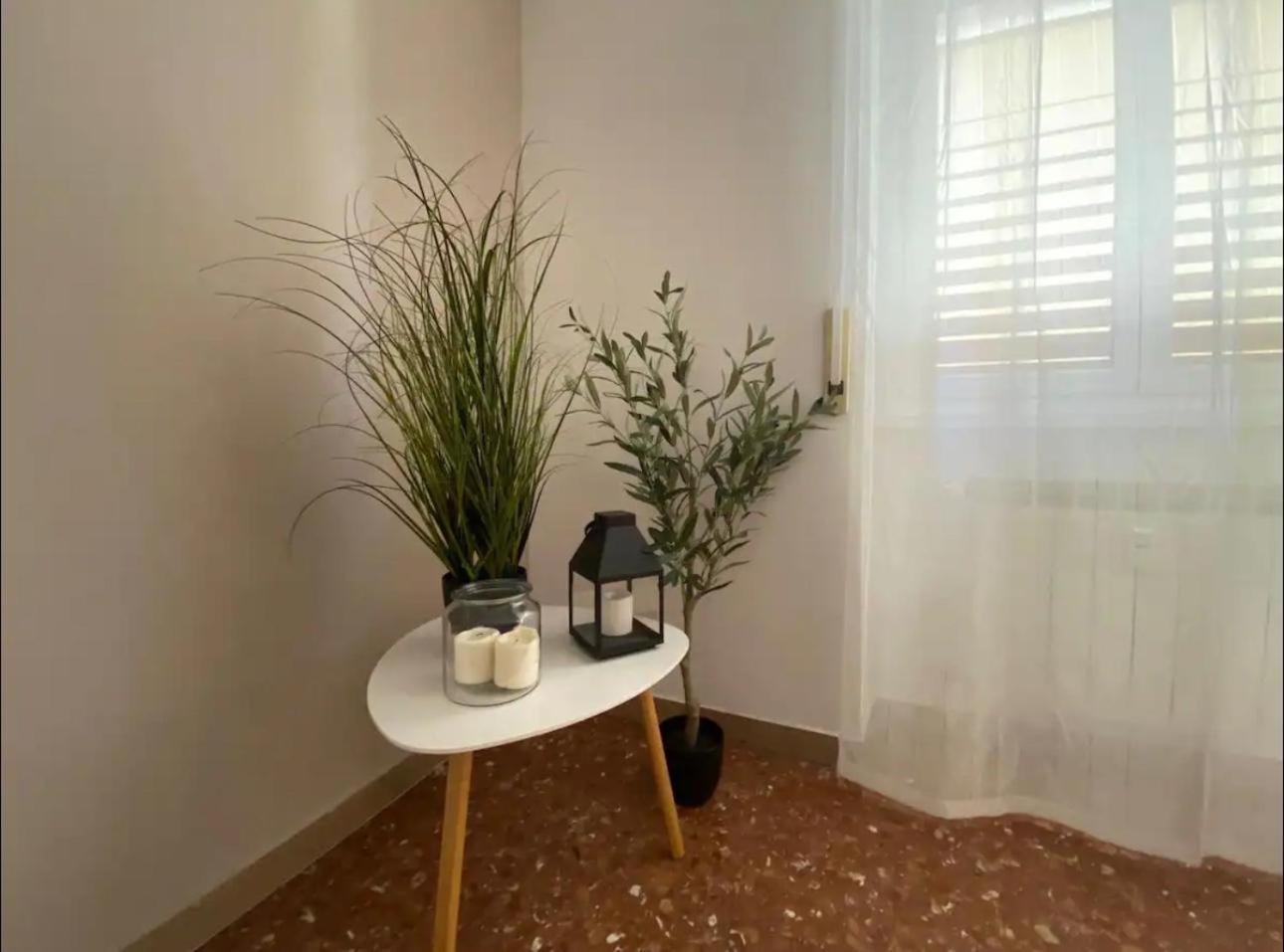 Fuffy House Rome